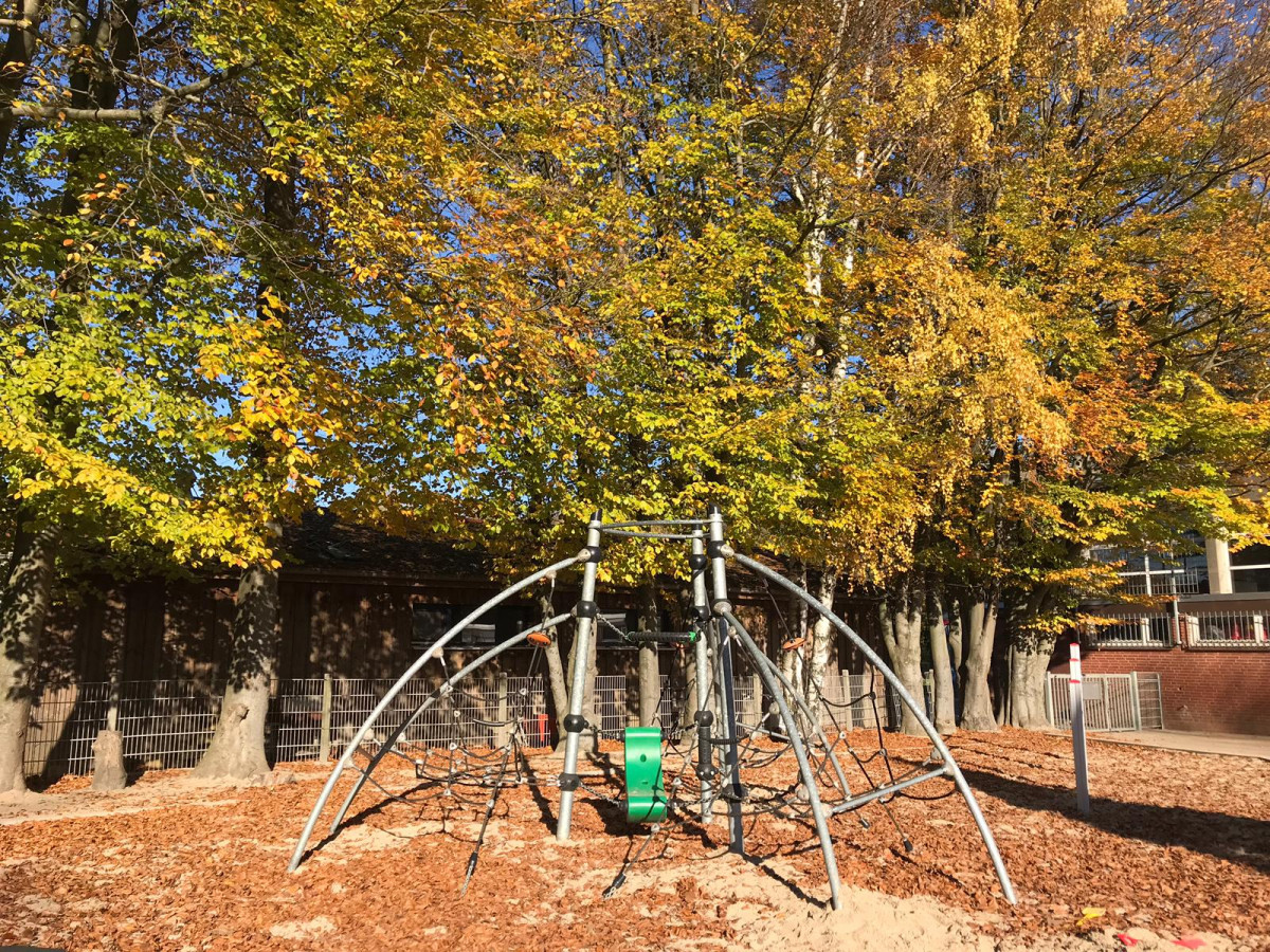 IMG 20181103 WA0002
